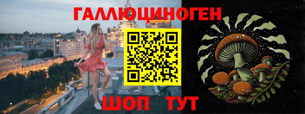 Костомукша  Галлюциногенные грибы Cubensis  Вход с VPN 