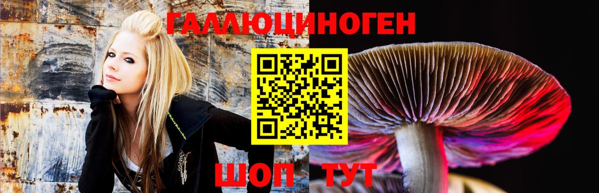 Галлюциногенные грибы Cubensis  Галлюциногенные грибы Psilocybe  Костомукша 